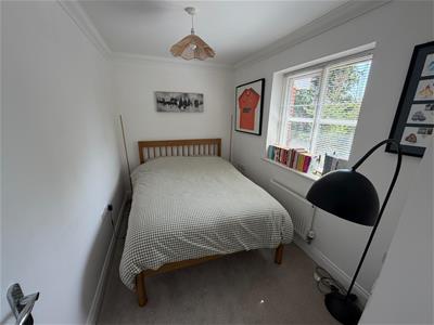 Picture 13
